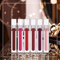 Brillant à Lèvres Brillant avec Logo Personnalisé Marque Privée Rouge à Lèvres Minéral Liquide sans Logo Brillant Teinte à Lèvres