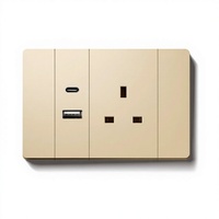 Panneau doré de type 118 avec double USB + type C, installation encastrée, prise de courant standard britannique