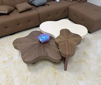Ensemble de tables basses vintage Wabi-sabi en forme de nuage, forme irrégulière, style unique, salon, luxe léger, minimaliste, bois massif, meubles pour la maison