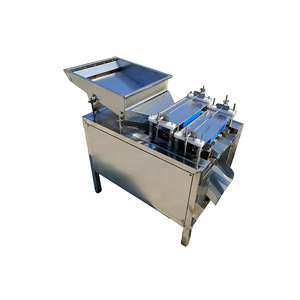Máquina automática para pelar huevos de codorniz, equipo de procesamiento de huevos de acero inoxidable para la industria alimentaria - Product Image 3