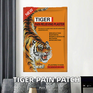 Top 10 Hot xu hướng Tiger chăm sóc sức khỏe Sản phẩm body Relief thạch cao cho trở lại và đầu gối đau cơ bắp - Product Image 2