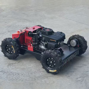 Самая дешевая газонокосилка с дистанционным управлением - Product Image 1