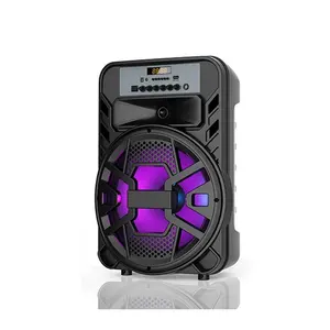 Micro Bluetooth Không Dây Di Động Giá Rẻ 12 Inch Loa Hỗ Trợ Karaoke