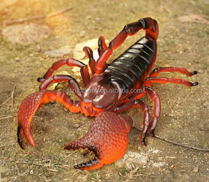 EN STOCK Modelo de Insecto Realista de PVC de 23 cm, Hormiga, <span class=keywords><strong>Araña</strong></span>, Mantis, Libélula, Saltamontes, Juguetes de Insectos de Plástico de Simulación para Niños - Product Image 2