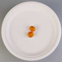 Assiette en papier jetable épaisse, biodégradable, de qualité alimentaire, blanche, grande taille 26 cm, pour barbecue, gâteau, dessert, salade, sucre