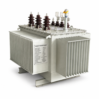 Transformateur immergé dans l'huile 11kV 33kV pour parc industriel, triphasé, type de distribution abaisseur, alimentation 100kVA-1600kVA, IEC 60076