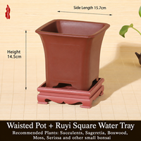 Pot Bunga Resin untuk Penggunaan di Taman, Pot Minimalis Gaya Cina dengan Banyak Lubang Drainase, untuk Tanaman Anggrek Daun Kecil Merah