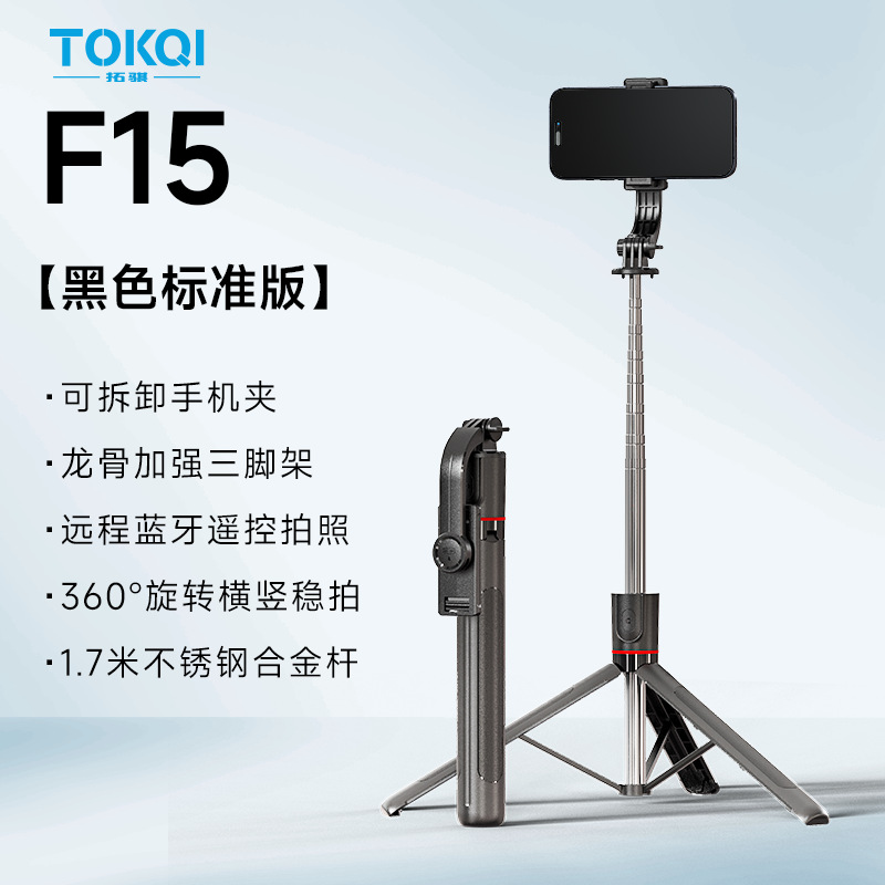 [F15] Poste de acero inoxidable de 1,7 m