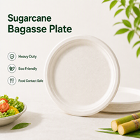 Assiettes jetables résistantes à la graisse pour l'emballage alimentaire, kits repas, bagasse de canne à sucre, écologiques, pour la vente à emporter, restaurants, en gros