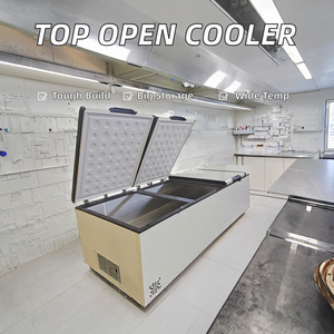 Commercial Single-Temperature Cooler Top Open Freezer Ice Cream Display Chest Refrigerator Deep Commercial Freezer for <strong>Bar</strong> <strong>Cool</strong> - Product Image 2