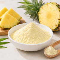 Ananas Extract Poeder Bromelaïne Enzym 100.000 eenheden per gram Voedingskwaliteit Groothandel Bulk Fabriek Wereldwijde Levering