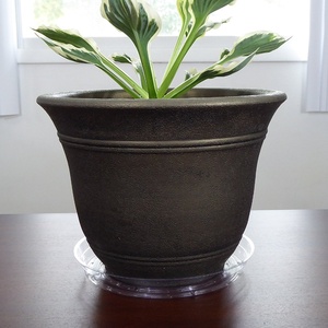 6 pouces plante de jardin clair rond en <span class=keywords><strong>plastique</strong></span> soucoupe fleur planteur Pot plateau - Product Image 6