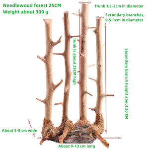 Dérive <span class=keywords><strong>bois</strong></span> naturel forêt branche ornement <span class=keywords><strong>bois</strong></span> <span class=keywords><strong>flotté</strong></span> bonsaï arbre aquarium paysage aquarium reptile décoration - Product Image 4