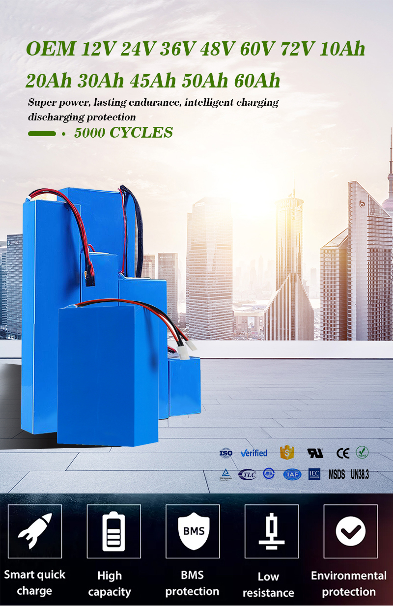 CTS Customized 24v 36v 50ah 100ah lithium battery, electric bike lifepo4 battery 60v 72v 40ah 50ah motorcycle battery