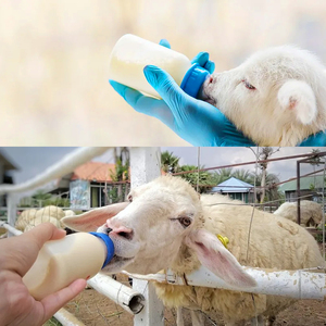 Nouveau doux rouge Latex allaitement agneau traite alimentation biberon mamelon tétine <span class=keywords><strong>chiot</strong></span> chèvre <span class=keywords><strong>lait</strong></span> - Product Image 6