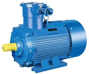 132kw 2poles 150hp Explosion-proof Asynchronous Electric Motor