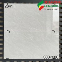 Carreaux Muraux Brillants Salle de Bain Cuisine 300x600, Carreaux Céramiques Gris Murs de Salle de Bain, Carreaux Muraux Intérieurs Blanc Pur