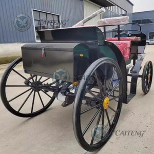 Calèche royale de Noël en plein air, calèche de princesse moderne pour le tourisme, vélo à 4 roues, calèche de poney princesse Victoria - Product Image 3
