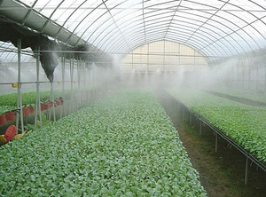 Systèmes d'irrigation agricoles intégrés Veinasa Smart Crops Farm, surveillance de l'humidité et de la température du sol, station météo TRSQ020 - Product Image 3