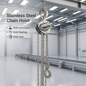 Palans à chaîne en acier inoxydable anti-corrosion, palans à chaîne manuels 0,5T-10T pour la levée dans l'industrie chimique marine - Product Image 1