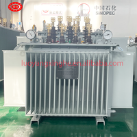 Transformateur de puissance 250 kVA 300 kVA 400 kVA triphasé 20 kV 22 kV immergé dans l'huile pour extérieur 415 V/480 V