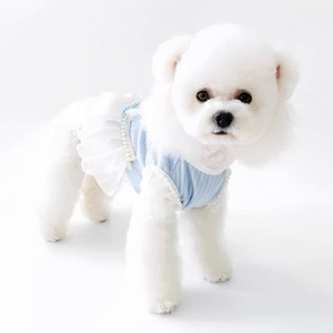 Blue Ballet Style Dress For Small Dogs <b>Princess</b> Cut Spring Skirt Decorative Pet <b>Clothes</b> - Product Image 2