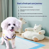 Tapis absorbant biodégradable bleu pour chien, guide d'apprentissage de la propreté, stimulateur de défécation à point fixe, épaissi, contrôle puissant des odeurs, résistant à l'eau