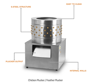 Machine à plumer les poulets / plumeuse / machine à plumer / <span class=keywords><strong>pigeon</strong></span> / oiseau / Batidora - Product Image 2
