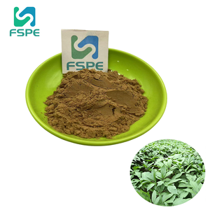 Notoginseng ekstrak Panax ekstrak Panax Notoginseng ekstrak Folium 10:1 - Product Image 1