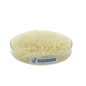 Pó de Gelatina Halal de Grau Alimentício Versátil para Molhos, Cremes e Coberturas - Product Image 1