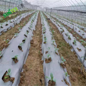 Film de paillage agricole robuste <span class=keywords><strong>en</strong></span> plastique HDPE noir et <span class=keywords><strong>argent</strong></span>é pour le contrôle des mauvaises herbes, idéal pour les légumes et les vergers - Product Image 6