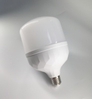 Vente en gros de lampes LED en forme de T, E14, E27, B22, 110V, 220V, 5W, 10W, 15W, 20W, 30W, 40W, 50W, 60W, fabriquées en Chine, à bas prix