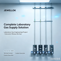 JEWELLOK Réseau de Gaz Université Centre de Recherche Laboratoire d'Analyse N2 O2 H2 C4H10 Installation Clé en Main