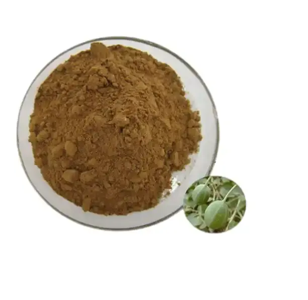 Murni Cina Ci Shan Gan Capparis spinosa ekstrak caper ekstrak 10:1