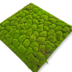 หญ้าเทียมไหมคุณภาพสูงสำหรับตกแต่งภูมิทัศน์ ปั้นแต่งทรง หญ้ามอส หญ้าเทียมสำหรับตกแต่งภูเขา หญ้ามอสสำหรับงานประดิษฐ์ - Product Image 3