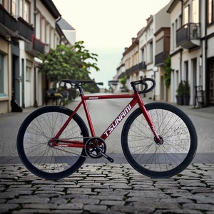 Nouveau 2026 Tsunami Snm100 Vélo à pignon fixe 700c à vitesse unique, modèle d'usine très demandé pour les passionnés de cyclisme en extérieur - Product Image 5