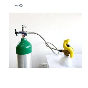 Manguera de Gas Medicinal Lovtec de Latón y Acero Inoxidable de Alta Presión CGA540 con Conector Bullnose - Product Image 4