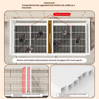 Cage d'élevage pour pigeons avec plateau en fer et plastique, sécurisée, pour intérieur et extérieur, anti-rongeurs, avec poulie, taille moyenne, cage pour animaux de compagnie