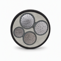 Câble de distribution électrique à âme en aluminium, isolation XLPE, pour pose en plateau et conduit intérieur, YJLV 3*240+1*120mm²