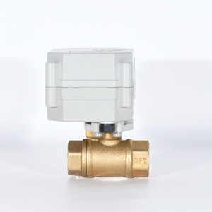 Vanne à boisseau sphérique électrique TONHE 1 pouce NPT AC 220V pour systèmes de plomberie - Product Image 1