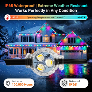 Luci LED Pixel RGBW da 30mm per Esterni, 12V 24V 36V IP68, Illuminazione Decorativa Natalizia Permanente - Product Image 2
