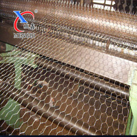 Rollos de malla de alambre hexagonal galvanizados 1/4 "-2" Jaulas de gallo de jaula de aves de corral de apertura