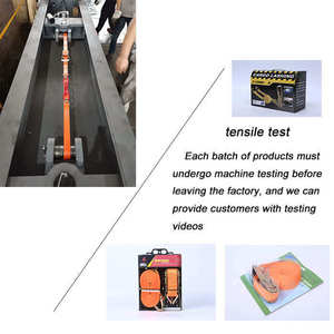 Sangles à cliquet auto-rétractables en PE/Polyester, robustes, pour <span class=keywords><strong>moto</strong></span> et bagages, résistance à la rupture de 800 kg, directement de l'usine - Product Image 5