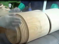 Torno Rotatorio Industrial de Alto Rendimiento sin Husillo para Pelar Troncos de Madera, Máquina Peladora de Chapa sin Husillo