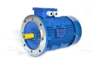 Motor de Inducción Trifásico Asíncrono HMA3 con Carcasa de Hierro, 30kw, Precio - Product Image 4