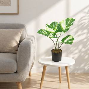 <span class=keywords><strong>Plante</strong></span> artificielle mini <span class=keywords><strong>Monstera</strong></span> haut de gamme, variée, 50 cm, feuilles PEVA réalistes au toucher, en pot, fausse verdure moderne pour la décoration de la maison et du bureau - Product Image 5