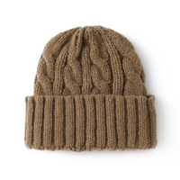Bonnet en tricot torsadé, épais et chaud pour l'hiver, couleur unie, en fil tricoté, broderie de logo personnalisée, unisexe, hommes, femmes, vente en gros