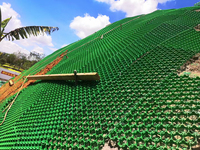 Grilles de renforcement alvéolaires en plastique HDPE pour pelouses et parkings, épaisseur personnalisable