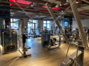 SM MTX Macchina a Carico Selezionabile per High Pulldown e Low <span class=keywords><strong>Row</strong></span>, per Palestre Commerciali, con Sistema a Perno, per Allenamento di Face Pull e Deltoidi Posteriori - Product Image 5