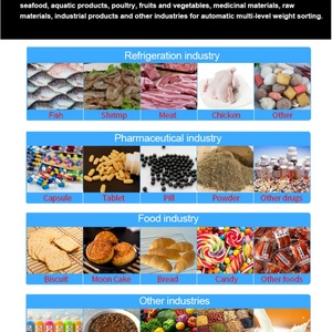 High High Accuracy <b>Mechanical</b> Conveyor <b>Scale</b> Checkweigher Machine OEM Vegetable Bakery Seafood Line 304 SUS JINDUN - Product Image 4